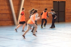 gymnase Merises Luxeuil 048